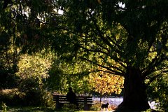 photo 0075